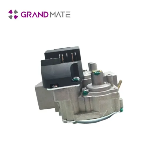 Oem odm obm natural gas stove safety valve