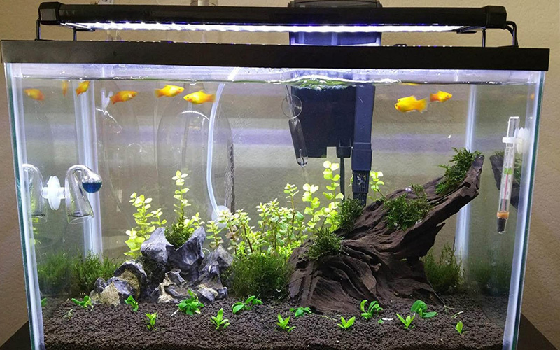 Led Aquarium Lighting Jpg