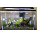 Luz de pescado LED para tanques de agua dulce plantados