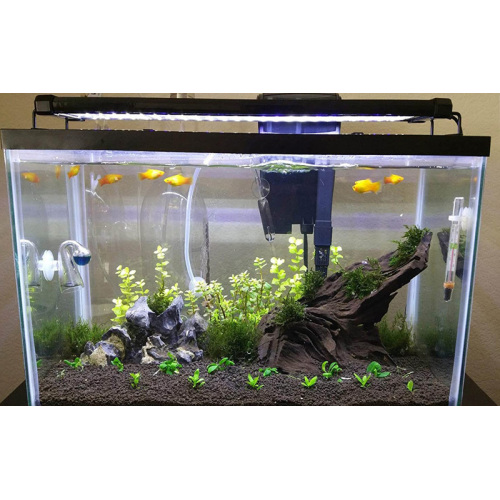 Luz de pescado LED para tanques de agua dulce plantados