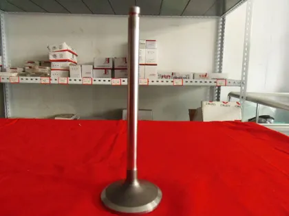 Shangcai D4114,D6114/Shangcai 6135 / C6121 Kate Pipe of Diesel Engine