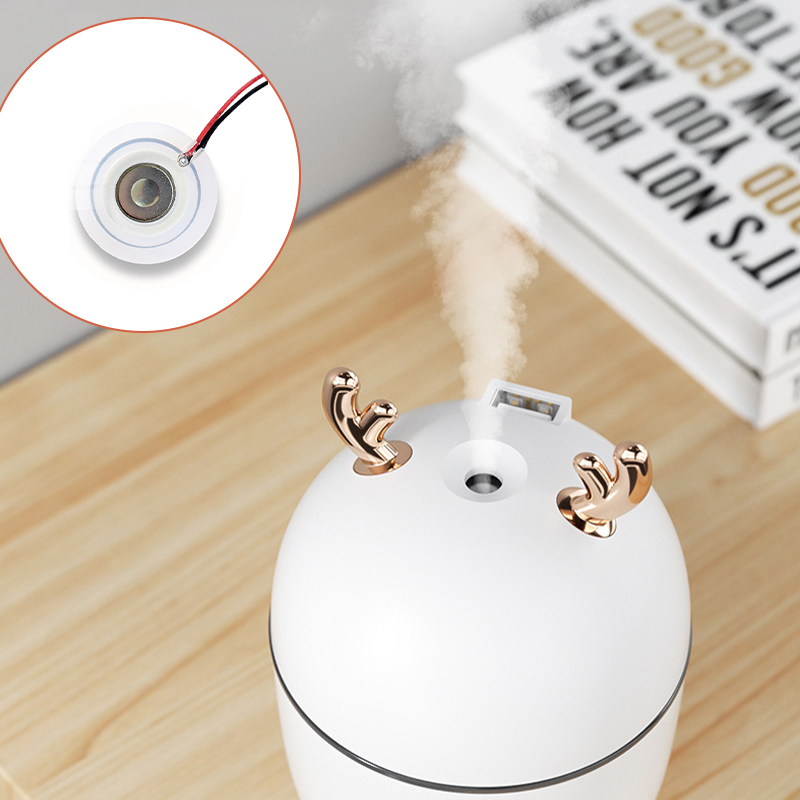 Micropore Misting Dis