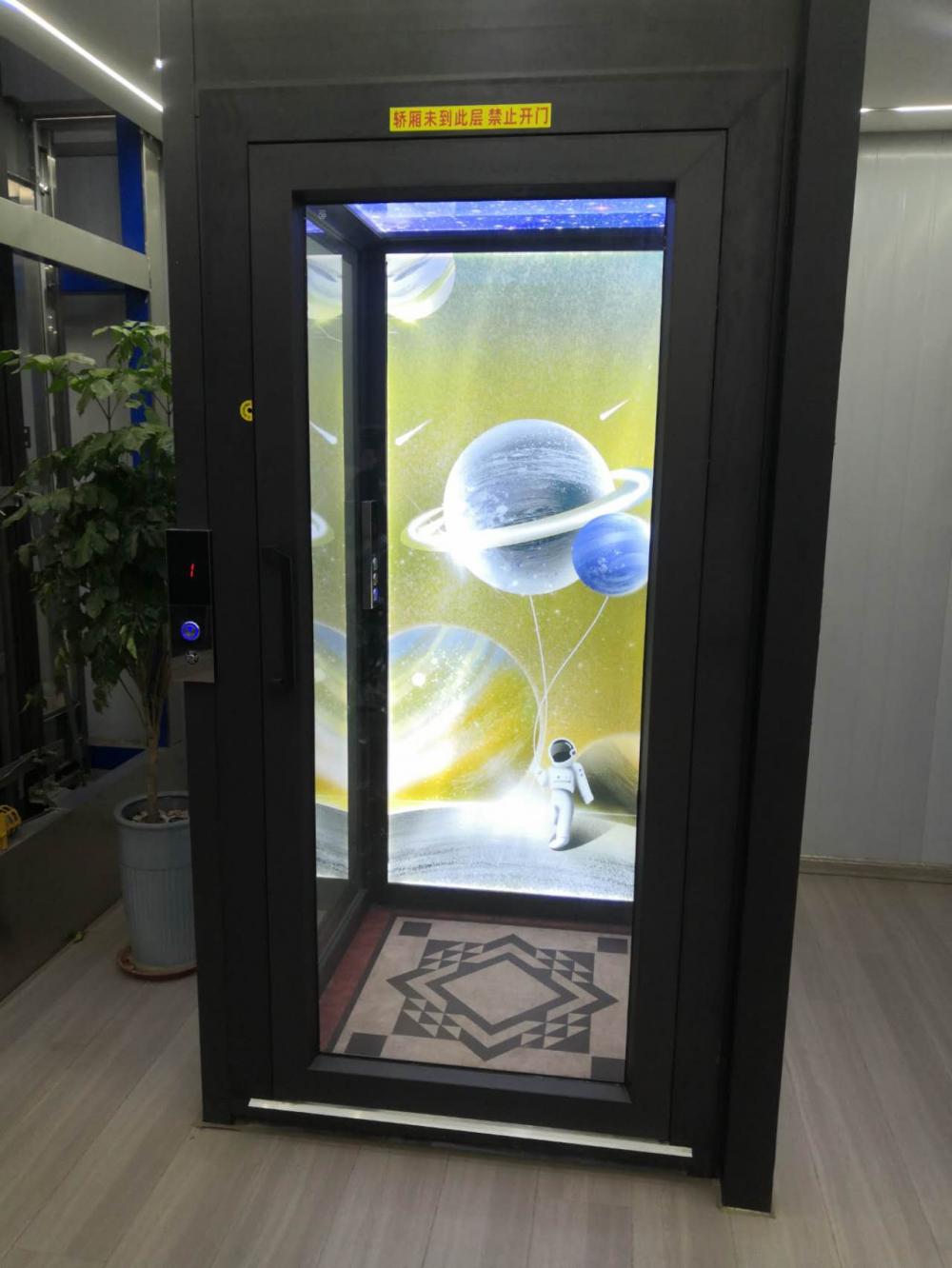 Hot Sale 370kg Mini Home Elevator