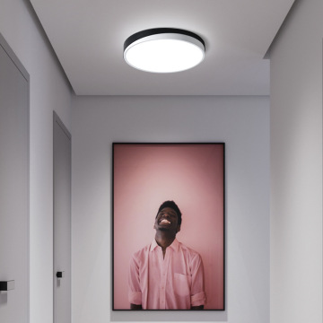 LEDER Interior Flush Ceiling Lights