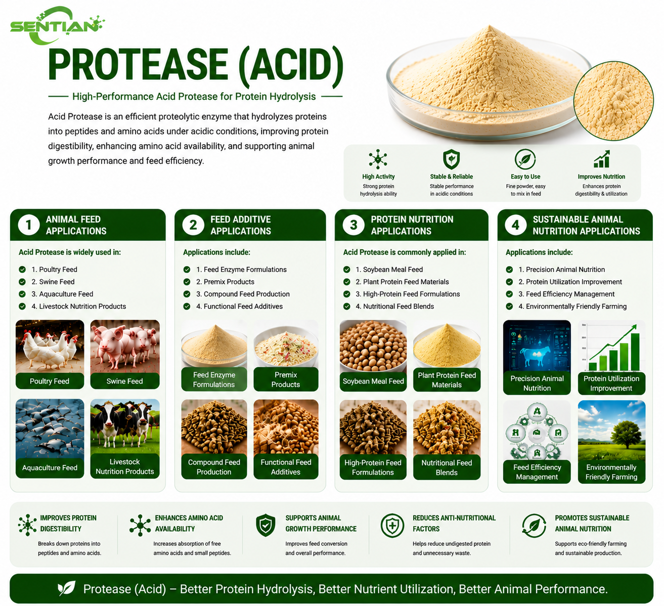 Protease (Acid)2