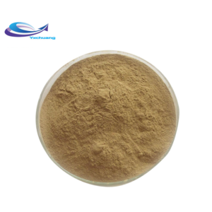 Asparagus Root Extract Powder