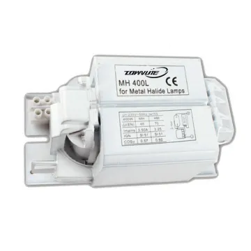 Factory Direct OEM Wholesale Metal Halide Ballast for 400W Metal Halide/Mercury Lamp
