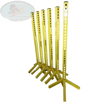 FEI Standard Portable Aluminum Jumping Stands for Longine Horse Training