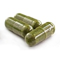 OEM/ODM Weight Loss Capsules Green Tea Fat Burn