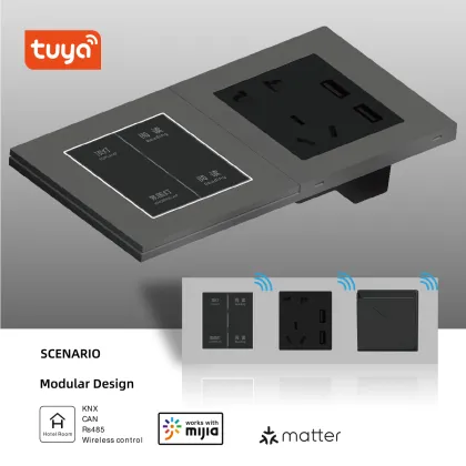 1/2/3/4 Gang Matter HomeKit SmartLife RF 433 MHz BT Wall Touch Smart Home Light Switch