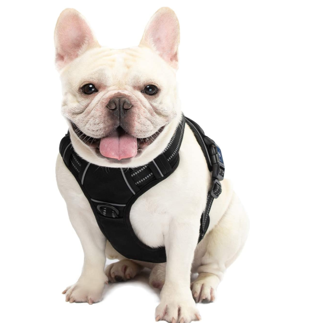 Comfortable Dog Harness With Handle