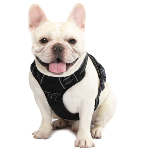 Comfortable Dog Harness with Handle