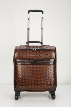 Ultra-quiet grid pu suitcase.