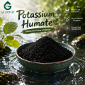 Acondicionador de suelos en polvo de humato de potasio de alta pureza