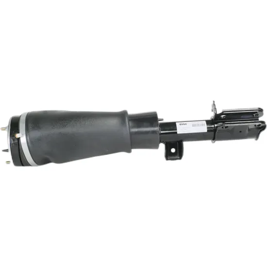 Front Left Right Air Suspension Shock Strut for Range Rover Vogue L322 With ADS (RNB000740G RNB000750G)
