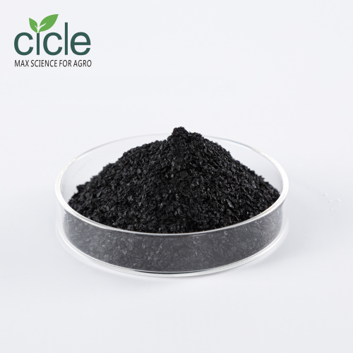 Potassium Humate Flakes Organic fertilizer