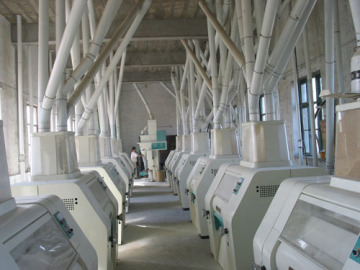 150t Wheat Flour Milling Machinery