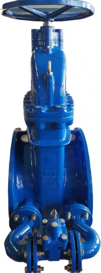 DN600 BS Gate Valve BYPASS