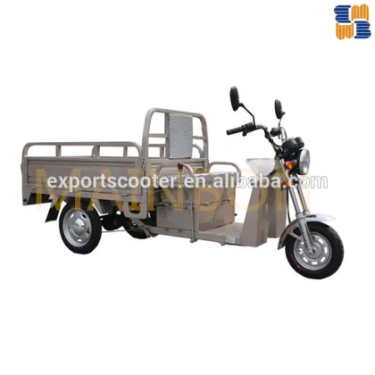 2015 hot cargo tricycle,electric tricycle for cargo, carriage can cargo best price 2015