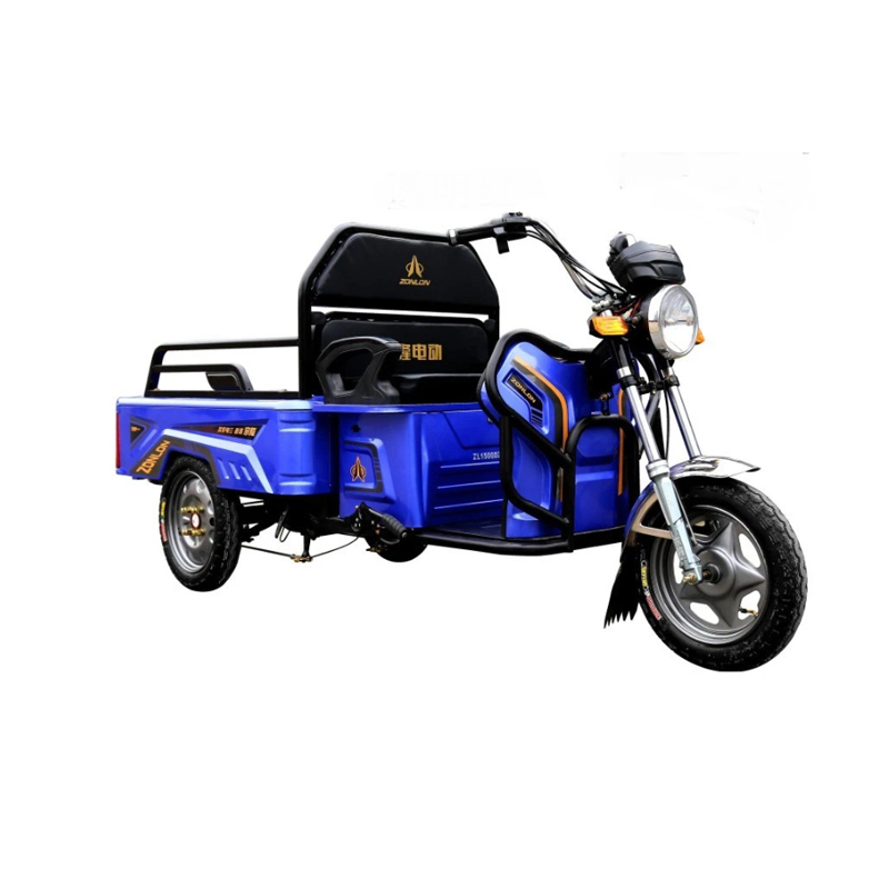 Electric Household Tricycle