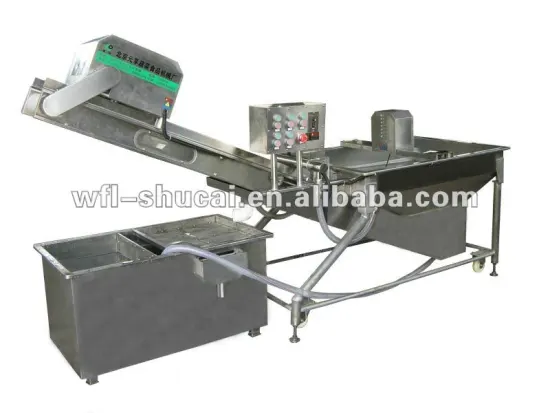Feeding Vegetable Washing Machine