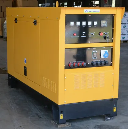Multifunctional DC Welding Generator Set with MMA GMAW and TIG Welding Functions