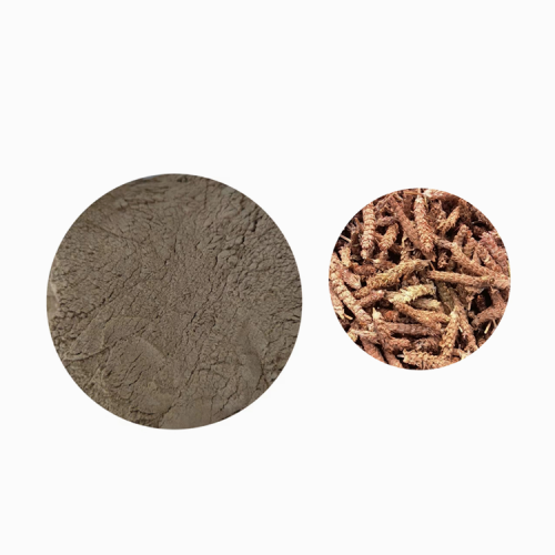 Alchemilla Vulgaris Extract Sale
