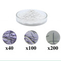 Spongilla Extract Powder(Needle sponge content >98%)