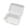 sockerrör Bagasse Tabellery Bagasse Salad Box Food Packaging
