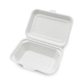 Bagasse jetable