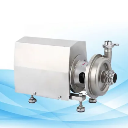 Andritz Electric Plunger Submersible Sand Slurry Centrifugal Pump for Sanitary Milk Industry