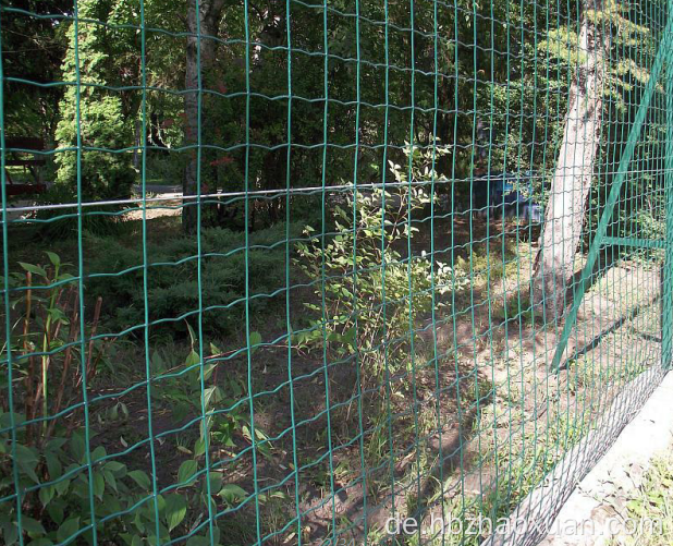 Niedriger Preis hoher Qualitätsschweiß -Euro -Zaun