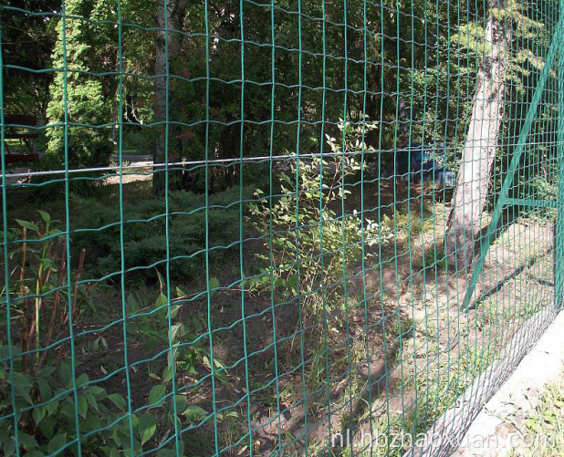 Lage prijs van hoge kwaliteit gelaste euro hek