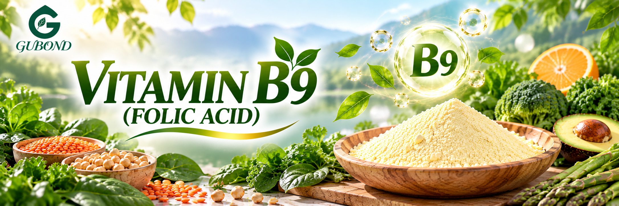 Vitamin B9 Supplement Ingredient