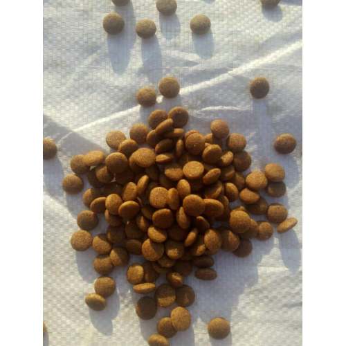 Kibble animal pet dog food pellet making machine