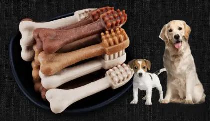 Pet grinding teeth stick