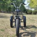S2 Fat Tire Ηλεκτρικό τρίκυκλο