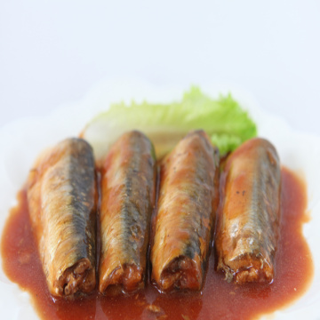 Canned Pilchard Sardine In Tomato Sauce
