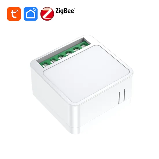 BSD17 Tooya Universal Switch Tuya Zigbee Mesh 10A Firmware Customization