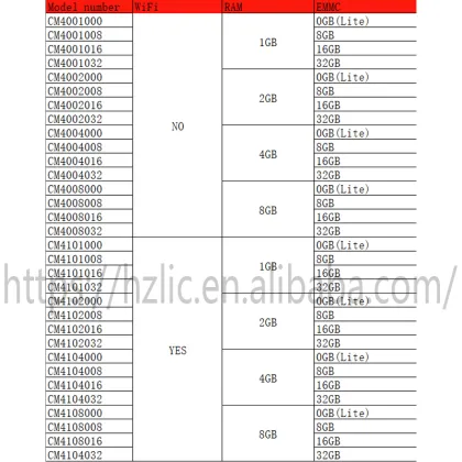 Raspberry Pi Compute Module 4 WiFi EMMC Variants