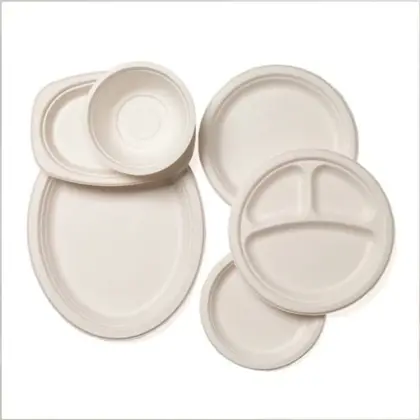 Customized Green Disposable Tableware Lunch Food