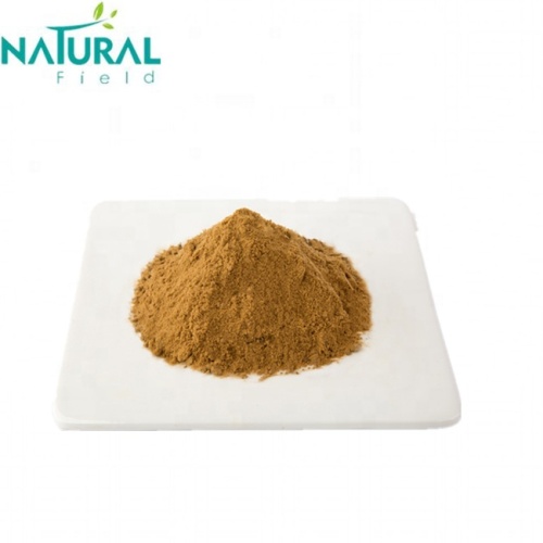 Improving Immunity Extract Schisandra Chinensis Extract Powder Factory