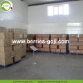 Factory Wholesale Super Grade Mechanical Dried Wolfberries