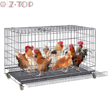 Hot Sale Customized Layer Egg Chicken Cage Poultry Farm Cage