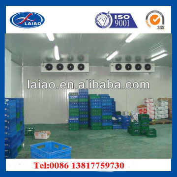 cold room ( cold storage room)