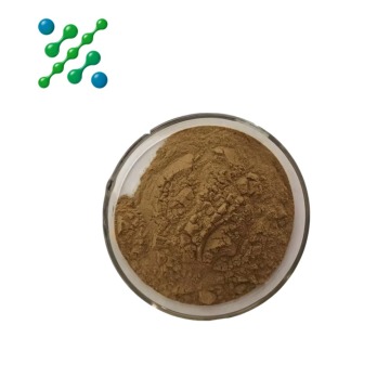 Pure Artichoke Extract Plant Powder
