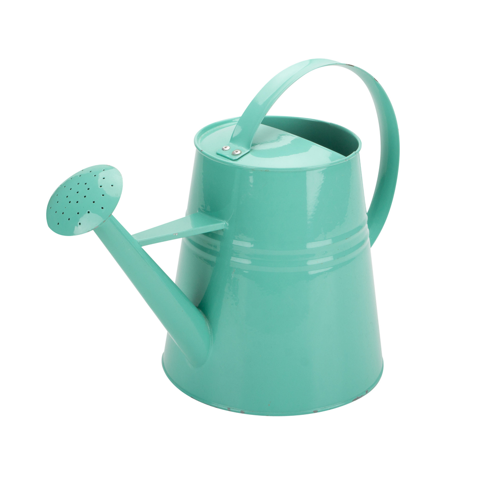 Watering Can Cheap