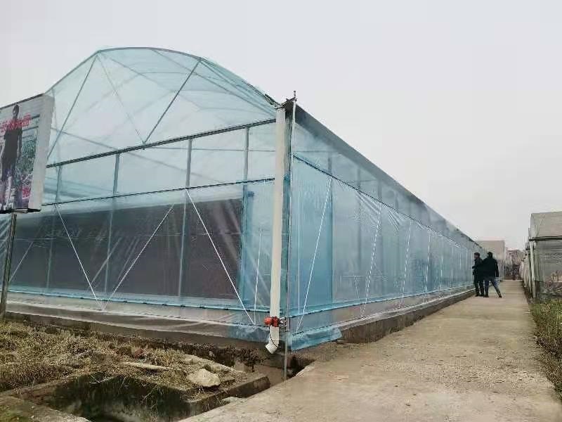 Empowering the Development of Modern Smart Agriculture: Qingcheng Agriculture’s Zhongxian Multi-Span Greenhouse Project Successfully Completed and Delivered