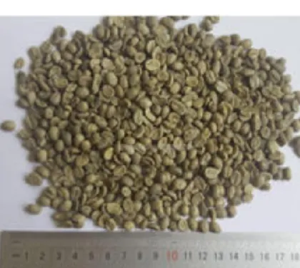 100% Pure Green Coffee Bean