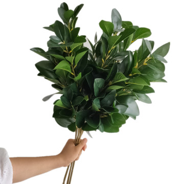 Artificial Peperomia Tetraphylla Tree Branch - 65cm, Three Forks, Banyan Greenery Plant